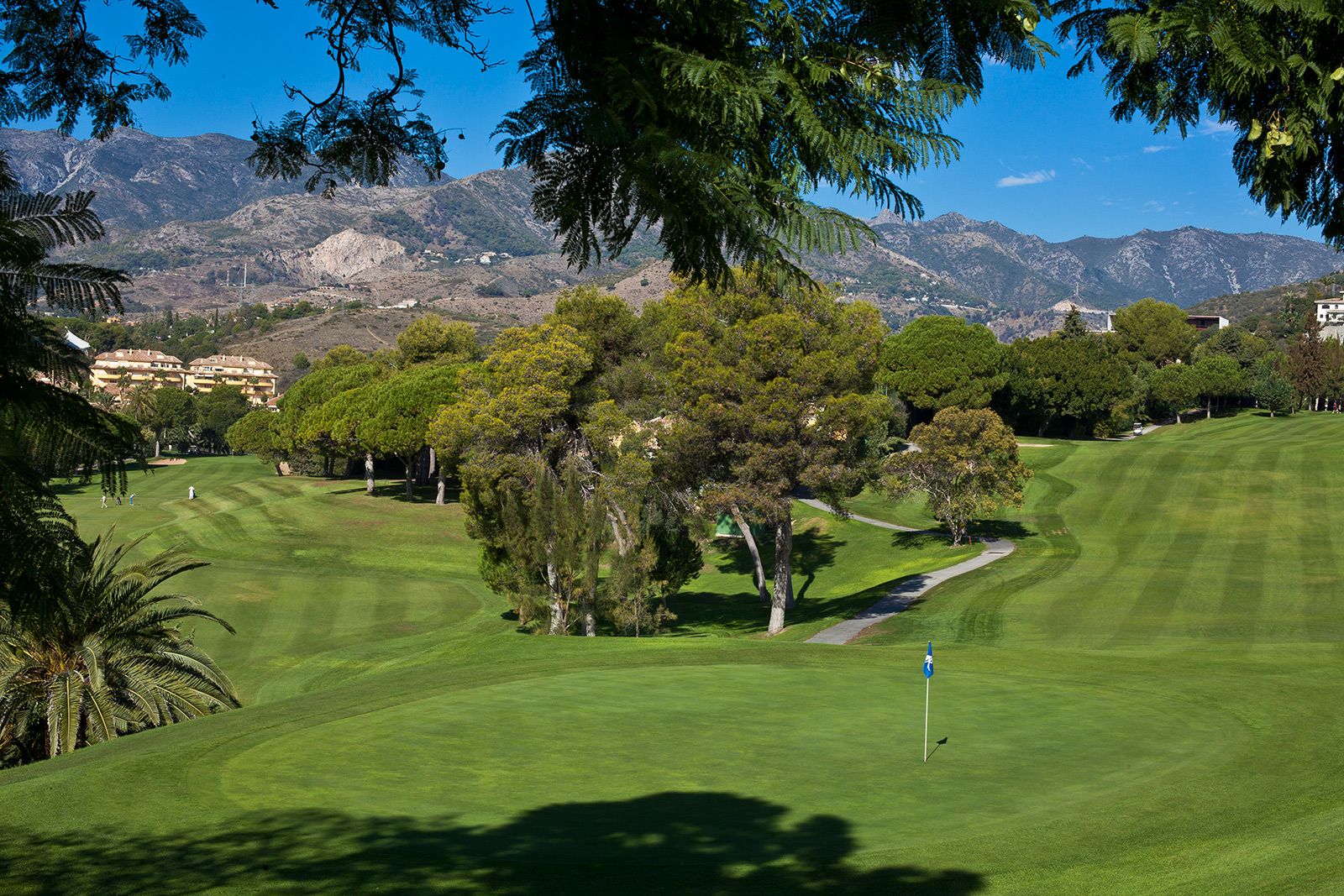 Primera Línea de Golf